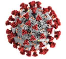 COVID-19 (Corona Virus) Vaccination